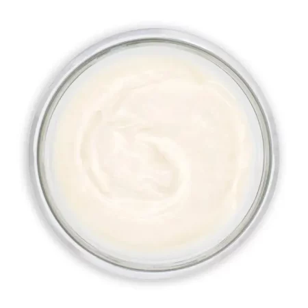 Рослинне молоко (основи для приготування)